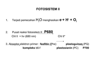 FOTOSISTEM II
1. Terjadi pemecahan H2O menghasikan e-
+ H+
+ O2
2. Pusat reaksi fotosistem II : P680
Chl II + hv (680 nm) Chl II*
3. Akseptor elektron primer : feofitin (Phe) plastoguinon (PQ)
kompleks b6-f plastosianin (PC) P700
 