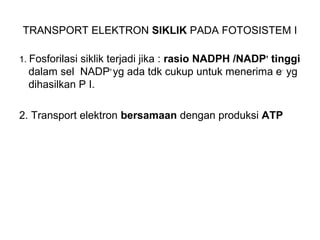 TRANSPORT ELEKTRON SIKLIK PADA FOTOSISTEM I
1. Fosforilasi siklik terjadi jika : rasio NADPH /NADP+
tinggi
dalam sel NADP+
yg ada tdk cukup untuk menerima e-
yg
dihasilkan P I.
2. Transport elektron bersamaan dengan produksi ATP
 