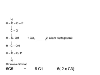 H
H – C – O – P
C = O
H – C- OH + CO2 2 asam fosfogliserat
H - C – OH
H – C – O- P
H
Ribulosa difosfat
6C5 + 6 C1 6( 2 x C3)
 