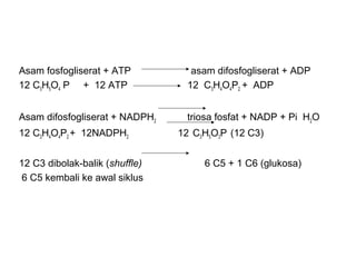 Asam fosfogliserat + ATP asam difosfogliserat + ADP
12 C3H5O4 P + 12 ATP 12 C3H4O4P2 + ADP
Asam difosfogliserat + NADPH2 triosa fosfat + NADP + Pi H2O
12 C3H4O4P2 + 12NADPH2 12 C3H5O3P (12 C3)
12 C3 dibolak-balik (shuffle) 6 C5 + 1 C6 (glukosa)
6 C5 kembali ke awal siklus
 