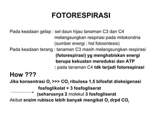 FOTORESPIRASI
Pada keadaan gelap : sel daun hijau tanaman C3 dan C4
melangsungkan respirasi pada mitokondria
(sumber energi : hsl fotosintesis)
Pada keadaan terang : tanaman C3 masih melangsungkan respirasi
(fotorespirasi) yg menghabiskan energi
berupa kekuatan mereduksi dan ATP
: pada tanaman C4 tdk terjadi fotorespirasi
How ???
Jika konsentrasi O2 >>> CO2 : ribulosa 1,5 bifosfat dioksigenasi
fosfoglikolat + 3 fosfogliserat
(seharusnya 2 molekul 3 fosfogliserat
Akibat enzim rubisco lebih banyak mengikat O2 drpd CO2
 