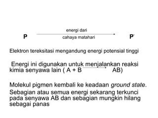 energi dari
P cahaya matahari P*
Elektron tereksitasi mengandung energi potensial tinggi
Energi ini digunakan untuk menjalankan reaksi
kimia senyawa lain ( A + B AB)
Molekul pigmen kembali ke keadaan ground state.
Sebagian atau semua energi sekarang terkunci
pada senyawa AB dan sebagian mungkin hilang
sebagai panas
 