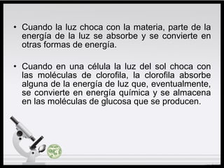 • Cuando la luz choca con la materia, parte de la
energía de la luz se absorbe y se convierte en
otras formas de energía.
• Cuando en una célula la luz del sol choca con
las moléculas de clorofila, la clorofila absorbe
alguna de la energía de luz que, eventualmente,
se convierte en energía química y se almacena
en las moléculas de glucosa que se producen.
 