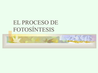 EL PROCESO DE
FOTOSÍNTESIS

 