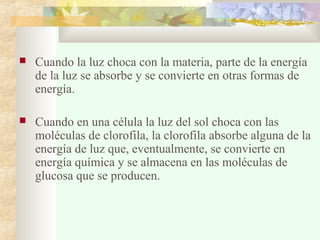 

Cuando la luz choca con la materia, parte de la energía
de la luz se absorbe y se convierte en otras formas de
energía.



Cuando en una célula la luz del sol choca con las
moléculas de clorofila, la clorofila absorbe alguna de la
energía de luz que, eventualmente, se convierte en
energía química y se almacena en las moléculas de
glucosa que se producen.

 