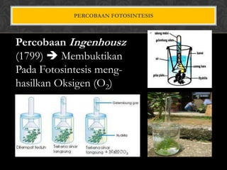 PERCOBAAN FOTOSINTESIS

Percobaan Ingenhousz
(1799)  Membuktikan
Pada Fotosintesis menghasilkan Oksigen (O2)

 