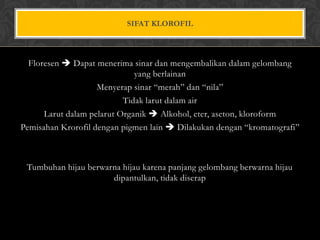 SIFAT KLOROFIL

Floresen  Dapat menerima sinar dan mengembalikan dalam gelombang
yang berlainan
Menyerap sinar “merah” dan “nila”
Tidak larut dalam air
Larut dalam pelarut Organik  Alkohol, eter, aseton, kloroform
Pemisahan Krorofil dengan pigmen lain  Dilakukan dengan “kromatografi”

Tumbuhan hijau berwarna hijau karena panjang gelombang berwarna hijau
dipantulkan, tidak diserap

 
