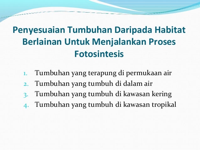 Fotosintesis
