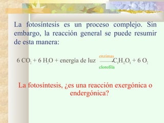 La fotosíntesis es un proceso complejo. Sin
embargo, la reacción general se puede resumir
de esta manera:
6 CO2 + 6 H2O + energía de luz

enzimas

C6H12O6 + 6 O2

clorofila

La fotosíntesis, ¿es una reacción exergónica o
endergónica?

 