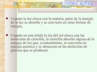 

Cuando la luz choca con la materia, parte de la energía
de la luz se absorbe y se convierte en otras formas de
energía.



Cuando en una célula la luz del sol choca con las
moléculas de clorofila, la clorofila absorbe alguna de la
energía de luz que, eventualmente, se convierte en
energía química y se almacena en las moléculas de
glucosa que se producen.

 