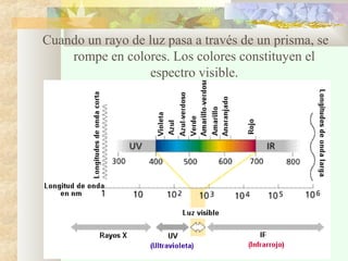 Cuando un rayo de luz pasa a través de un prisma, se
rompe en colores. Los colores constituyen el
espectro visible.

 