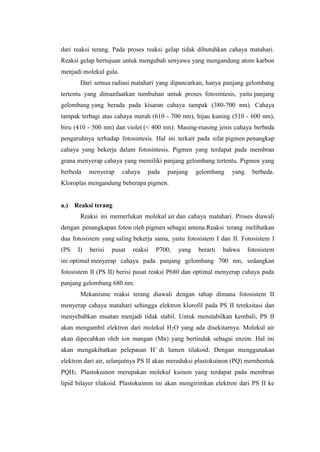 dari reaksi terang. Pada proses reaksi gelap tidak dibutuhkan cahaya matahari.
Reaksi gelap bertujuan untuk mengubah senyawa yang mengandung atom karbon
menjadi molekul gula.
Dari semua radiasi matahari yang dipancarkan, hanya panjang gelombang
tertentu yang dimanfaatkan tumbuhan untuk proses fotosintesis, yaitu panjang
gelombang yang berada pada kisaran cahaya tampak (380-700 nm). Cahaya
tampak terbagi atas cahaya merah (610 - 700 nm), hijau kuning (510 - 600 nm),
biru (410 - 500 nm) dan violet (< 400 nm). Masing-masing jenis cahaya berbeda
pengaruhnya terhadap fotosintesis. Hal ini terkait pada sifat pigmen penangkap
cahaya yang bekerja dalam fotosintesis. Pigmen yang terdapat pada membran
grana menyerap cahaya yang memiliki panjang gelombang tertentu. Pigmen yang
berbeda menyerap cahaya pada panjang gelombang yang berbeda.
Kloroplas mengandung beberapa pigmen.
a.) Reaksi terang
Reaksi ini memerlukan molekul air dan cahaya matahari. Proses diawali
dengan penangkapan foton oleh pigmen sebagai antena.Reaksi terang melibatkan
dua fotosistem yang saling bekerja sama, yaitu fotosistem I dan II. Fotosistem I
(PS I) berisi pusat reaksi P700, yang berarti bahwa fotosistem
ini optimal menyerap cahaya pada panjang gelombang 700 nm, sedangkan
fotosistem II (PS II) berisi pusat reaksi P680 dan optimal menyerap cahaya pada
panjang gelombang 680 nm.
Mekanisme reaksi terang diawali dengan tahap dimana fotosistem II
menyerap cahaya matahari sehingga elektron klorofil pada PS II tereksitasi dan
menyebabkan muatan menjadi tidak stabil. Untuk menstabilkan kembali, PS II
akan mengambil elektron dari molekul H2O yang ada disekitarnya. Molekul air
akan dipecahkan oleh ion mangan (Mn) yang bertindak sebagai enzim. Hal ini
akan mengakibatkan pelepasan H+
di lumen tilakoid. Dengan menggunakan
elektron dari air, selanjutnya PS II akan mereduksi plastokuinon (PQ) membentuk
PQH2. Plastokuinon merupakan molekul kuinon yang terdapat pada membran
lipid bilayer tilakoid. Plastokuinon ini akan mengirimkan elektron dari PS II ke
 