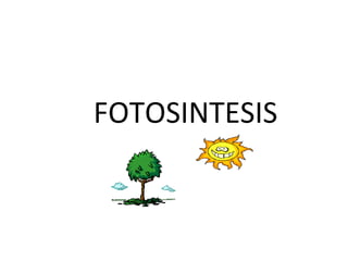 FOTOSINTESIS
 