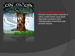• Konsentrasi karbon dioksida 
Semakin banyak karbon dioksida di 
udara, jumlah bahan yang dapat 
digunakan tumbuhan untuk 
melangsungkan fotosintesis juga 
semakin banyak. 
 