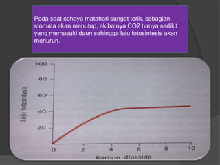 Pada saat cahaya matahari sangat terik, sebagian 
stomata akan menutup, akibatnya CO2 hanya sedikit 
yang memasuki daun sehingga laju fotosintesis akan 
menurun. 
 