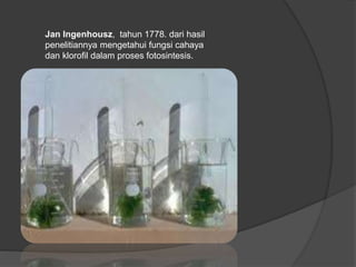 Jan Ingenhousz, tahun 1778. dari hasil 
penelitiannya mengetahui fungsi cahaya 
dan klorofil dalam proses fotosintesis. 
 