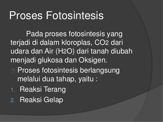Proses Fotosintesis 38528296