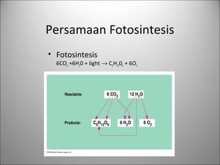Persamaan Fotosintesis
• Fotosintesis
6CO2 +6H20 + light → C6H1206 + 6O2
 