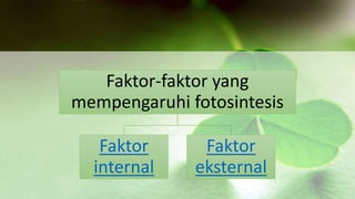 Faktor-faktor yang 
mempengaruhi fotosintesis 
Faktor 
internal 
Faktor 
eksternal 
 