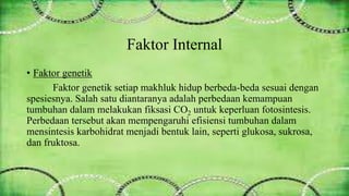 Faktor Internal 
• Faktor genetik 
Faktor genetik setiap makhluk hidup berbeda-beda sesuai dengan 
spesiesnya. Salah satu diantaranya adalah perbedaan kemampuan 
tumbuhan dalam melakukan fiksasi CO2 untuk keperluan fotosintesis. 
Perbedaan tersebut akan mempengaruhi efisiensi tumbuhan dalam 
mensintesis karbohidrat menjadi bentuk lain, seperti glukosa, sukrosa, 
dan fruktosa. 
 