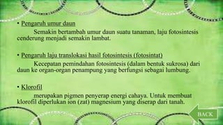 • Pengaruh umur daun 
Semakin bertambah umur daun suatu tanaman, laju fotosintesis 
cenderung menjadi semakin lambat. 
• Pengaruh laju translokasi hasil fotosintesis (fotosintat) 
Kecepatan pemindahan fotosintesis (dalam bentuk sukrosa) dari 
daun ke organ-organ penampung yang berfungsi sebagai lumbung. 
• Klorofil 
merupakan pigmen penyerap energi cahaya. Untuk membuat 
klorofil diperlukan ion (zat) magnesium yang diserap dari tanah. 
BACK 
 