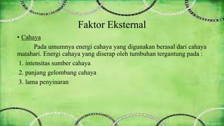 Faktor Eksternal 
• Cahaya 
Pada umumnya energi cahaya yang digunakan berasal dari cahaya 
matahari. Energi cahaya yang diserap oleh tumbuhan tergantung pada : 
1. intensitas sumber cahaya 
2. panjang gelombang cahaya 
3. lama penyinaran 
 