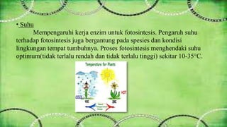 • Suhu 
Mempengaruhi kerja enzim untuk fotosintesis. Pengaruh suhu 
terhadap fotosintesis juga bergantung pada spesies dan kondisi 
lingkungan tempat tumbuhnya. Proses fotosintesis menghendaki suhu 
optimum(tidak terlalu rendah dan tidak terlalu tinggi) sekitar 10-35°C. 
 