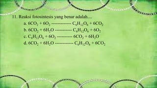 11. Reaksi fotosintesis yang benar adalah.... 
a. 6CO2 + 6O2 ------------- C6H12O6 + 6CO2 
b. 6CO2 + 6H2O ----------- C6H12O6 + 6O2 
c. C6H12O6 + 6O2 ---------- 6CO2 + 6H2O 
d. 6CO2 + 6H2O ------------ C6H12O6 + 6CO2 
 