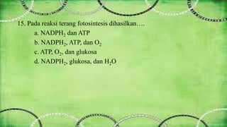15. Pada reaksi terang fotosintesis dihasilkan…. 
a. NADPH2 dan ATP 
b. NADPH2, ATP, dan O2 
c. ATP, O2, dan glukosa 
d. NADPH2, glukosa, dan H2O 
 