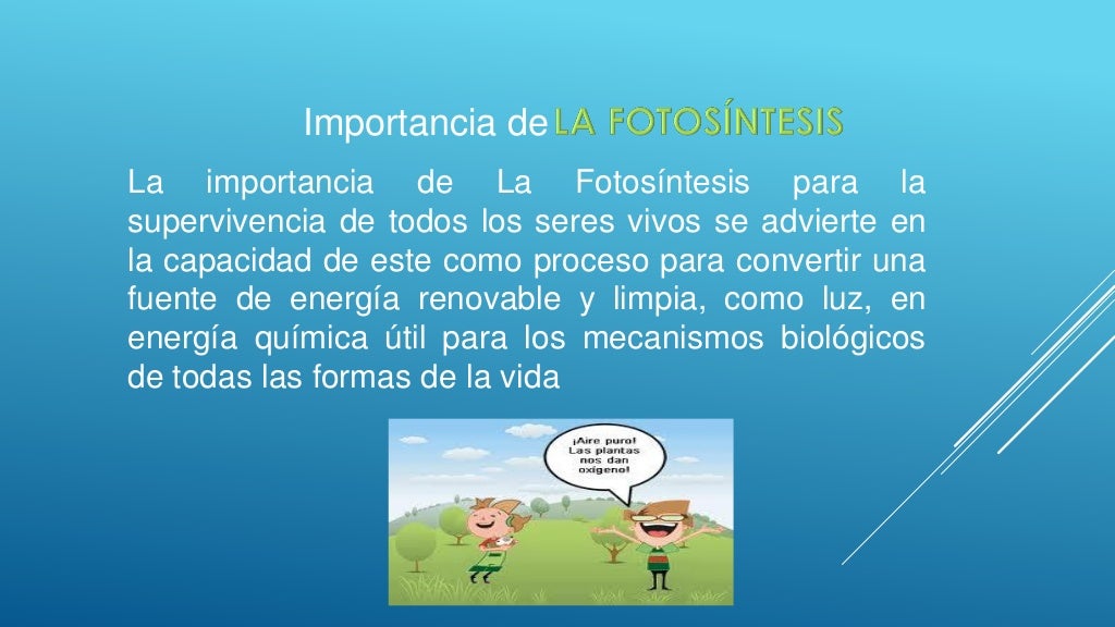 La Fotosintesis y su importancia