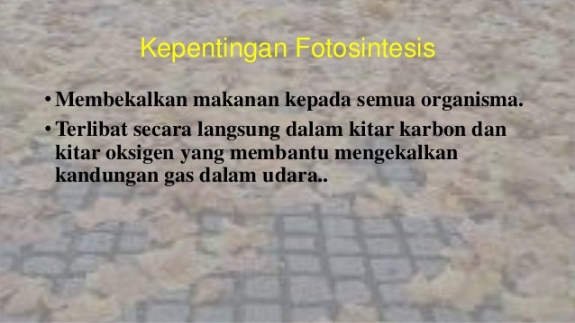 Fotosintesis
