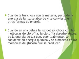  Cuando la luz choca con la materia, parte de la
energía de la luz se absorbe y se convierte en
otras formas de energía.
 Cuando en una célula la luz del sol choca con las
moléculas de clorofila, la clorofila absorbe alguna
de la energía de luz que, eventualmente, se
convierte en energía química y se almacena en las
moléculas de glucosa que se producen.
 
