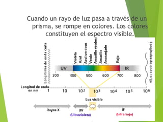 Cuando un rayo de luz pasa a través de un
prisma, se rompe en colores. Los colores
constituyen el espectro visible.
 