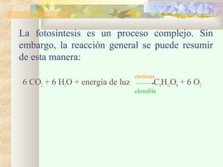 La fotosíntesis es un proceso complejo. Sin
embargo, la reacción general se puede resumir
de esta manera:
6 CO2 + 6 H2O + energía de luz C6H12O6 + 6 O2
enzimas
clorofila
 