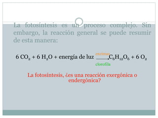 La fotosíntesis es un proceso complejo. Sin
embargo, la reacción general se puede resumir
de esta manera:
6 CO2 + 6 H2O + energía de luz C6H12O6 + 6 O2
La fotosíntesis, ¿es una reacción exergónica o
endergónica?
enzimas
clorofila
 