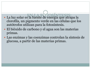 EN LA FOTOSÍNTESIS: La luz solar es la fuente de energía que atrapa la
clorofila, un pigmento verde en las células que los
autótrofos utilizan para la fotosíntesis.
 El bióxido de carbono y el agua son las materias
primas.
 Las enzimas y las coenzimas controlan la síntesis de
glucosa, a partir de las materias primas.
 
