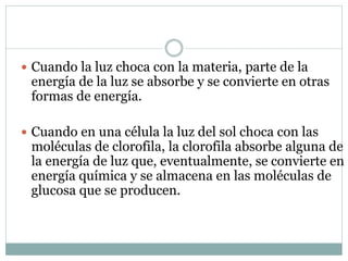  Cuando la luz choca con la materia, parte de la
energía de la luz se absorbe y se convierte en otras
formas de energía.
 Cuando en una célula la luz del sol choca con las
moléculas de clorofila, la clorofila absorbe alguna de
la energía de luz que, eventualmente, se convierte en
energía química y se almacena en las moléculas de
glucosa que se producen.
 