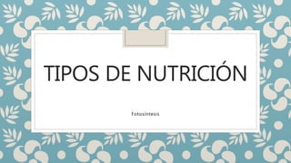 TIPOS DE NUTRICIÓN
Fotosíntesis
 