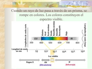 Cuando un rayo de luz pasa a través de un prisma, se
rompe en colores. Los colores constituyen el
espectro visible.
 