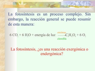 La fotosíntesis es un proceso complejo. Sin
embargo, la reacción general se puede resumir
de esta manera:
6 CO2 + 6 H2O + energía de luz C6H12O6 + 6 O2
La fotosíntesis, ¿es una reacción exergónica o
endergónica?
enzimas
clorofila
 