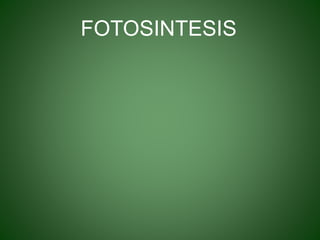 FOTOSINTESIS
 