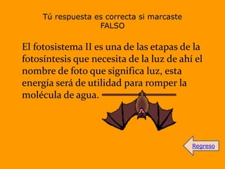 Tú respuesta es correcta si marcaste
FALSO
El fotosistema II es una de las etapas de la
fotosíntesis que necesita de la luz de ahí el
nombre de foto que significa luz, esta
energía será de utilidad para romper la
molécula de agua.
Regreso
 