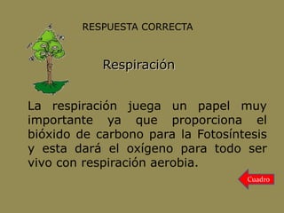 Respiración
La respiración juega un papel muy
importante ya que proporciona el
bióxido de carbono para la Fotosíntesis
y esta dará el oxígeno para todo ser
vivo con respiración aerobia.
RESPUESTA CORRECTA
Cuadro
 