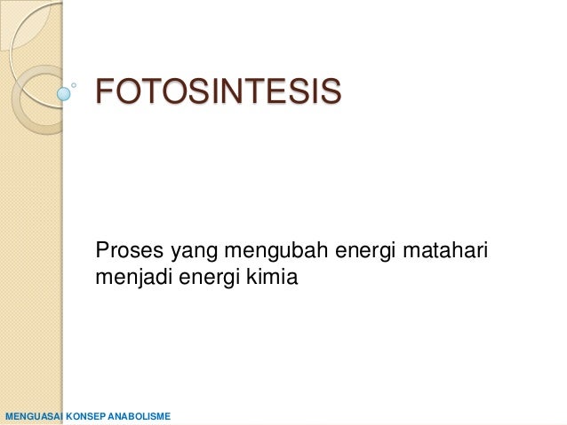 Fotosintesis copy