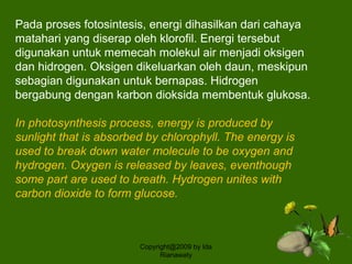 Pada proses fotosintesis, energi dihasilkan dari cahaya
matahari yang diserap oleh klorofil. Energi tersebut
digunakan untuk memecah molekul air menjadi oksigen
dan hidrogen. Oksigen dikeluarkan oleh daun, meskipun
sebagian digunakan untuk bernapas. Hidrogen
bergabung dengan karbon dioksida membentuk glukosa.
In photosynthesis process, energy is produced by
sunlight that is absorbed by chlorophyll. The energy is
used to break down water molecule to be oxygen and
hydrogen. Oxygen is released by leaves, eventhough
some part are used to breath. Hydrogen unites with
carbon dioxide to form glucose.
Copyright@2009 by Ida
Rianawaty
 