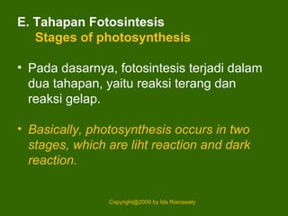 E. Tahapan Fotosintesis
Stages of photosynthesis
• Pada dasarnya, fotosintesis terjadi dalam
dua tahapan, yaitu reaksi terang dan
reaksi gelap.
• Basically, photosynthesis occurs in two
stages, which are liht reaction and dark
reaction.
Copyright@2009 by Ida Rianawaty
 