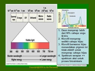 Copyright@2009 by Ida Rianawaty
 
