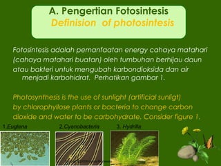 Fotosintesis adalah pemanfaatan energy cahaya matahari
(cahaya matahari buatan) oleh tumbuhan berhijau daun
atau bakteri untuk mengubah karbondioksida dan air
menjadi karbohidrat. Perhatikan gambar 1.
 
Photosynthesis is the use of sunlight (artificial sunligt)
by chlorophyllose plants or bacteria to change carbon
dioxide and water to be carbohydrate. Consider figure 1.
A. Pengertian Fotosintesis
Definision of photosintesis
1.Euglena 2.Cyanobacteria 3. Hydrilla
Copyright@2009 by Ida Rianawaty
 
