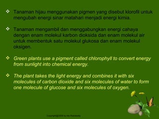  Tanaman hijau menggunakan pigmen yang disebut klorofil untuk
mengubah energi sinar matahari menjadi energi kimia.
 Tanaman mengambil dan menggabungkan energi cahaya
dengan enam molekul karbon dioksida dan enam molekul air
untuk membentuk satu molekul glukosa dan enam molekul
oksigen.
 Green plants use a pigment called chlorophyll to convert energy
from sunlight into chemical energy.
 The plant takes the light energy and combines it with six
molecules of carbon dioxide and six molecules of water to form
one molecule of glucose and six molecules of oxygen.
Copyright@2009 by Ida Rianawaty
 