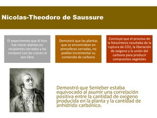 Nicolas-Theodoro de Saussure
Demostró que Senieber estaba
equivocado al asumir una correlación
positiva entre la cantidad de oxigeno
producida en la planta y la cantidad de
anhídrido carbónico.
El experimento que él hizo
fue crecer plantas en
recipientes cerrados y las
comparó con las crecen al
aire libre
Demostró que las plantas
que se encontraban en
atmosferas cerradas, no
podían incrementar su
contenido de carbono
Concluyó que el proceso de
la fotosíntesis resultaba de la
ruptura de CO2, la liberación
de oxígeno y la unión del
carbono para producir
compuestos vegetales
 